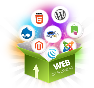 Custom Website Development